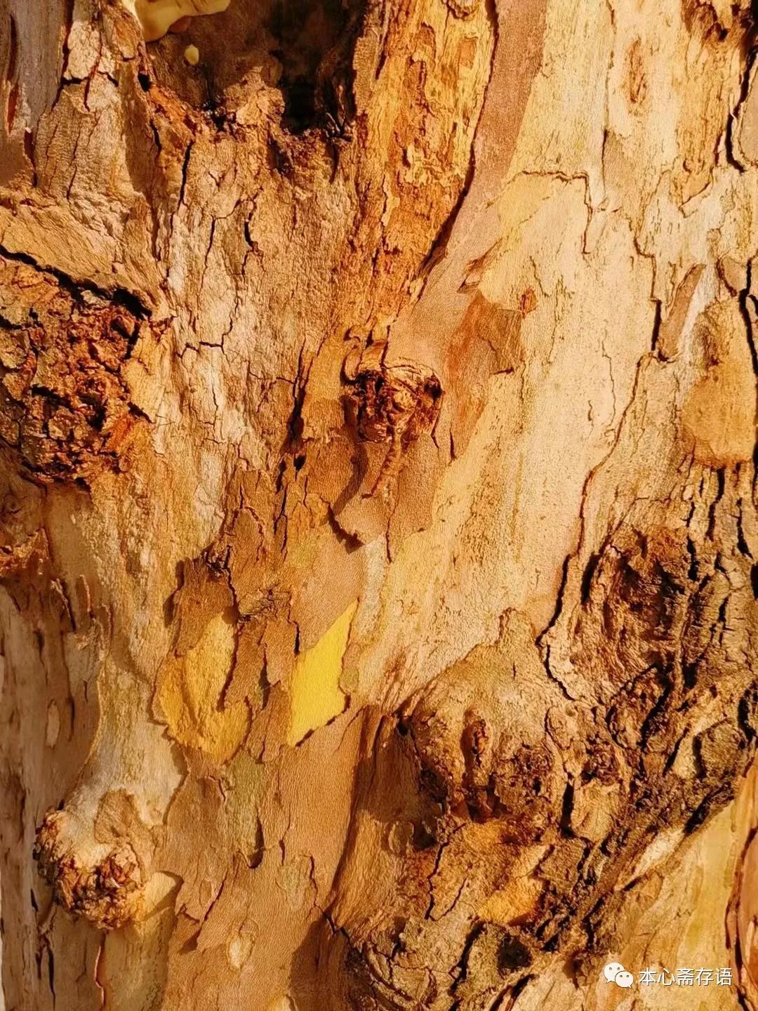 徐之腾最新作品,徐之腾简介