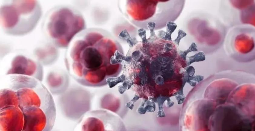 5元和50元的奥美拉唑,95块的奥美拉唑