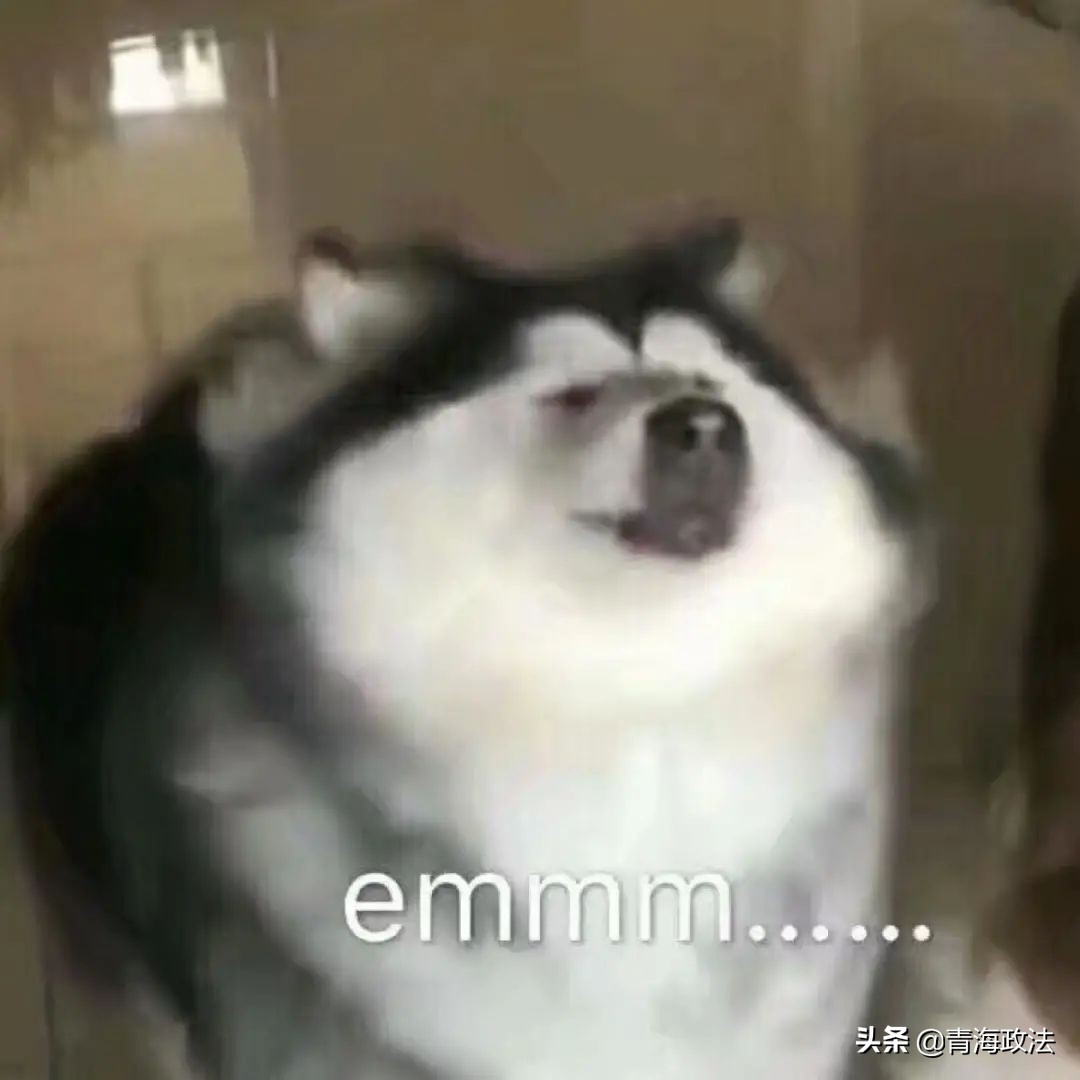 看了315晚会有何感想,看315晚会感受