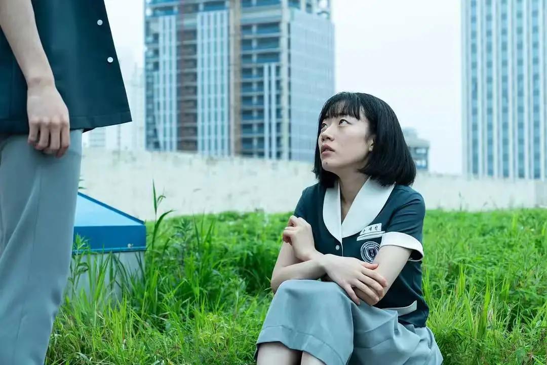 女网红被霸凌？全员伪装！这剧真上头