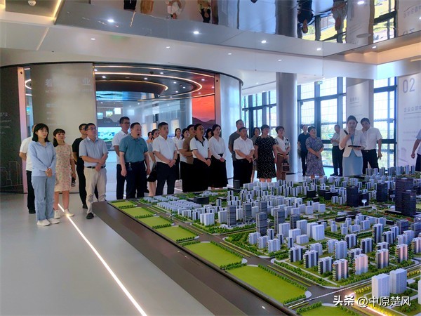 信阳羊山变化,信阳羊山发展历程