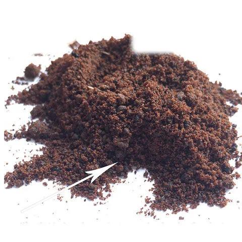 麝香很珍稀吗,麝香天然香