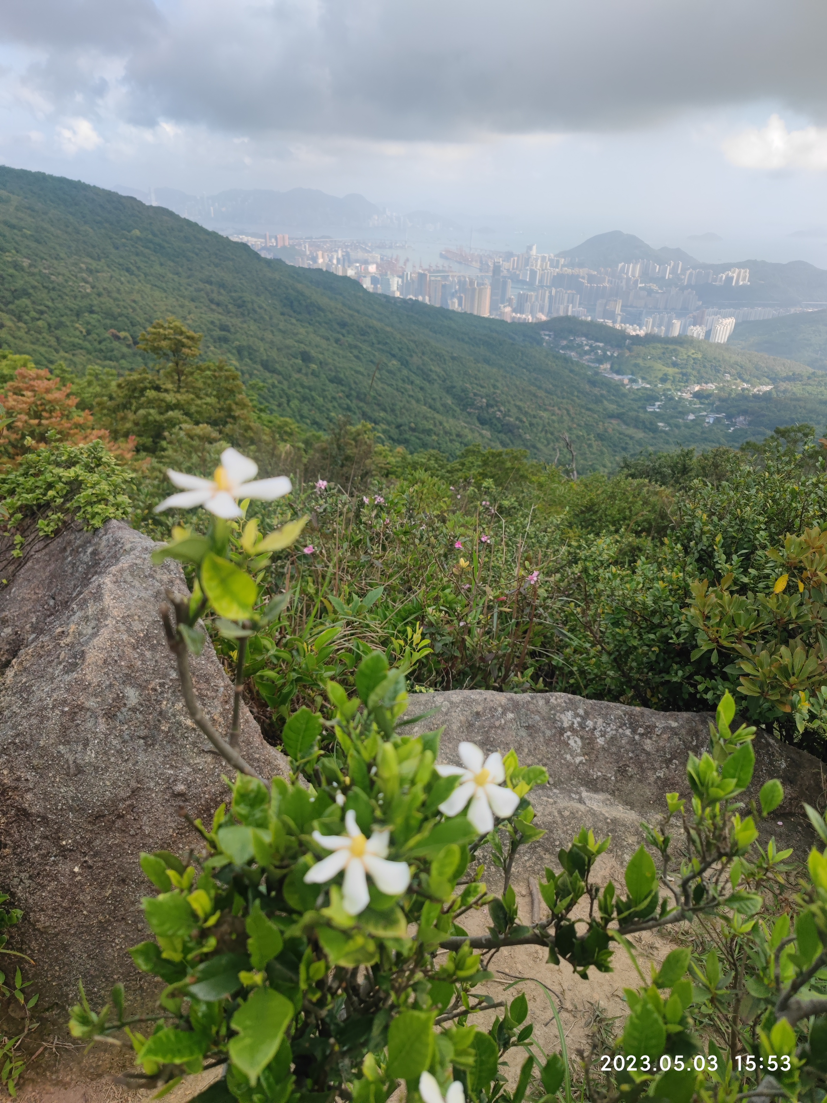 徒步香港大帽山,香港麦径徒步攻略