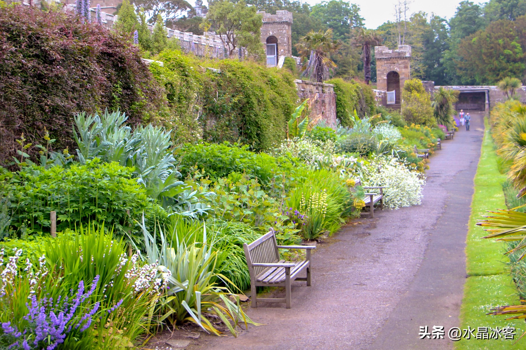 英国爱尔兰苏格兰旅游攻略,苏格兰爱尔兰北爱尔兰