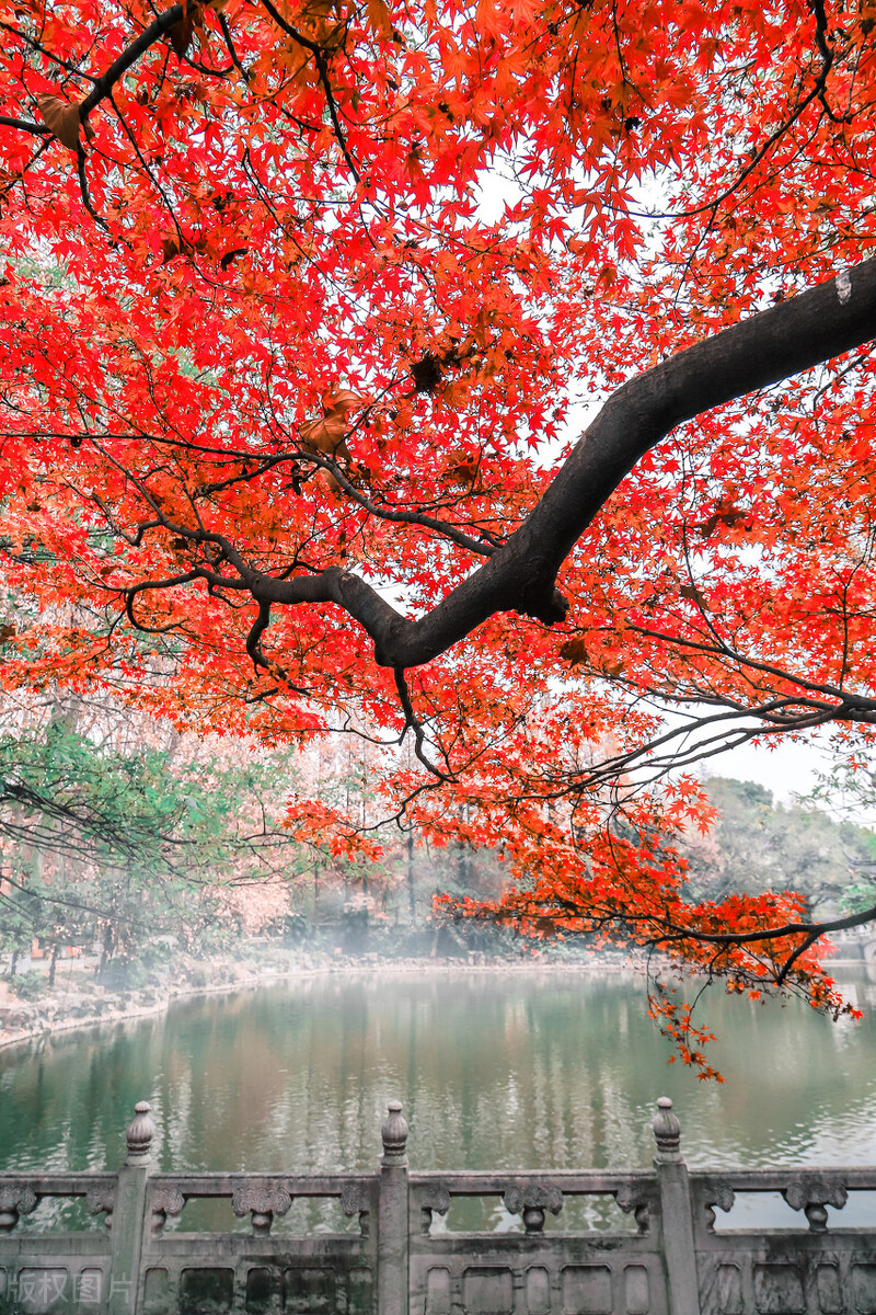 镇江养老服务排名,镇江定居养老真实感受