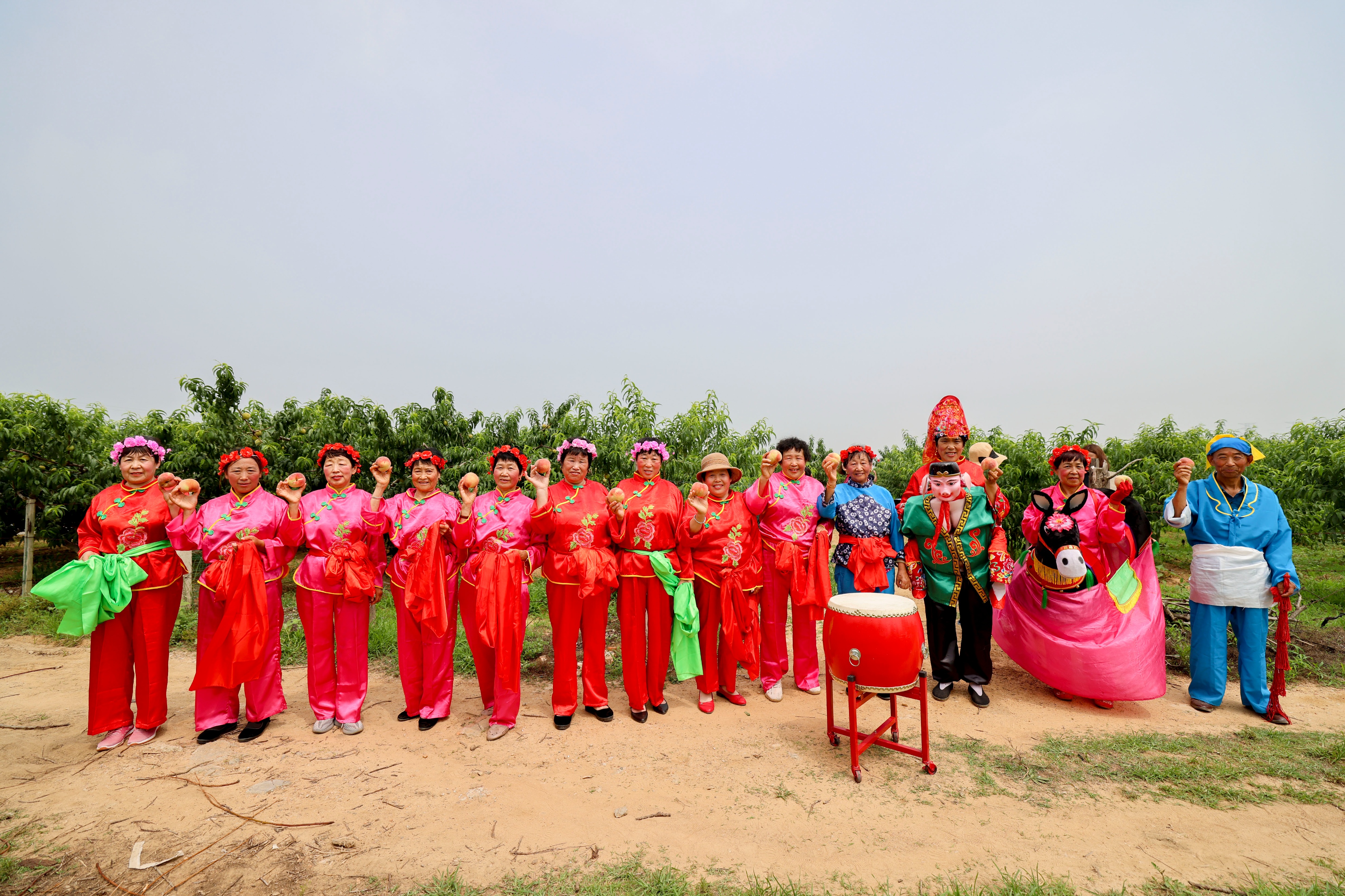 春有桃花源艺术节，夏有蜜桃采摘季，蜜桃成徐村乡村振兴新名片