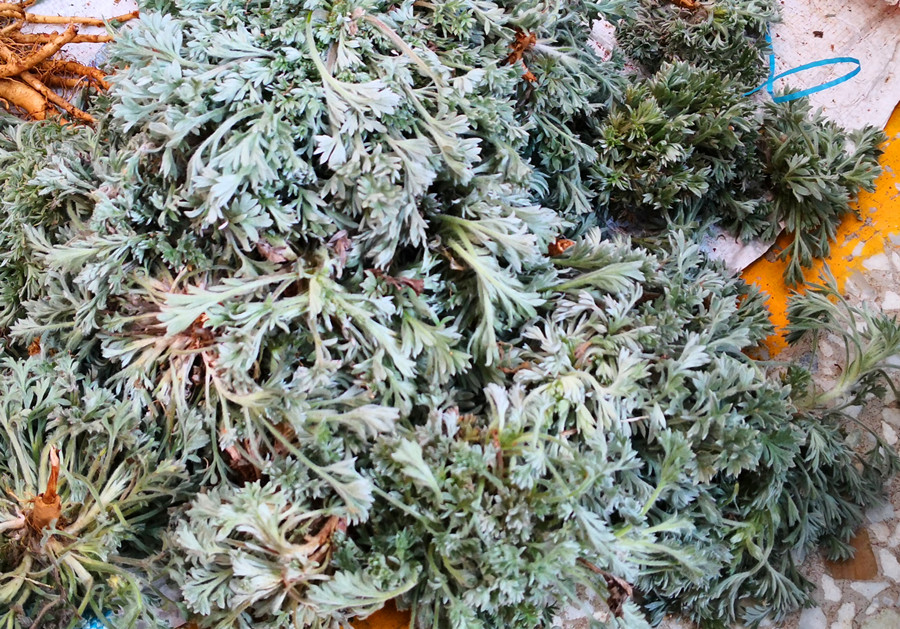 自带青霉素的三种食物,这6种食物含有天然青霉素