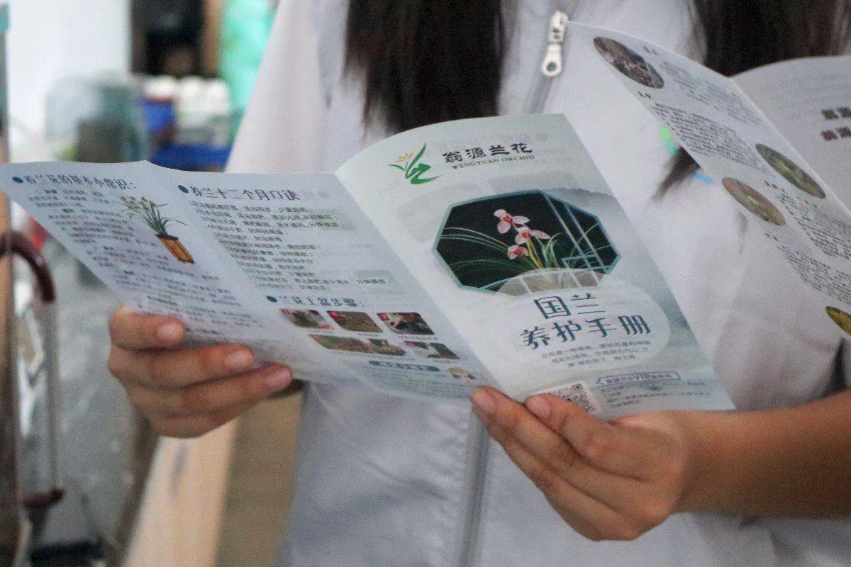 电商助文创：佛山科学技术学院“翁乡桃李”实践队探兰花培育基地