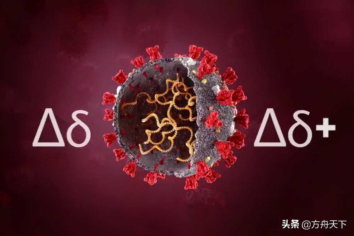 好消息新冠肺炎特效药,好消息新冠特效药真的来了