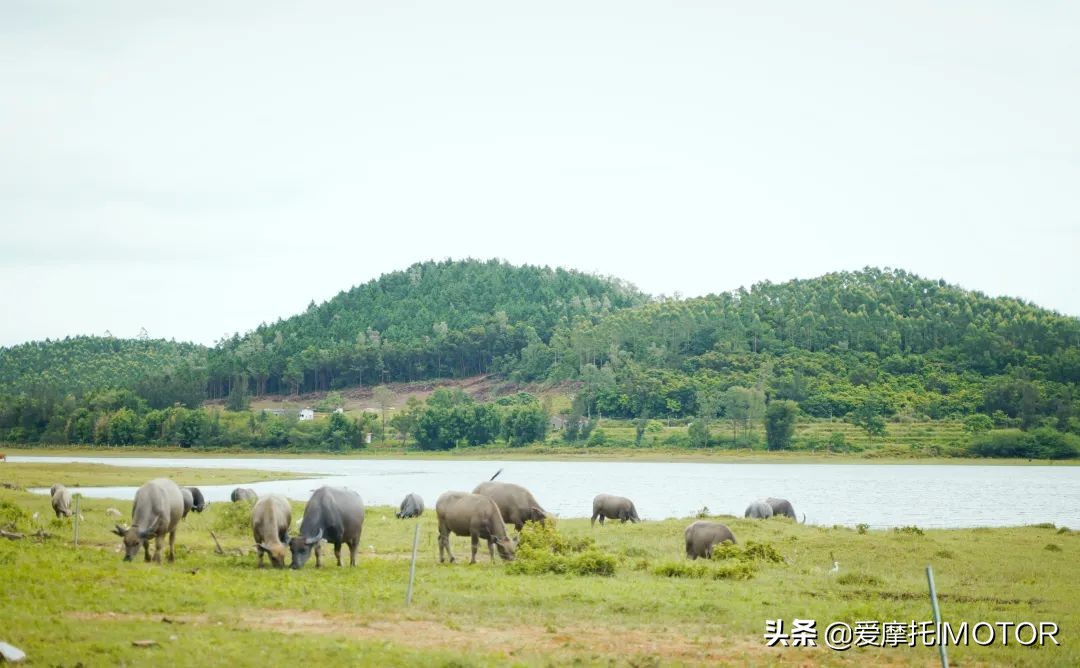 行走于荒野去自由的流浪|赛文佐Seimmezzo越野版测评