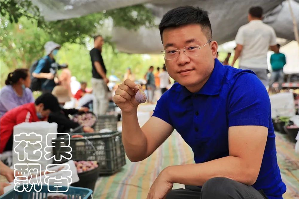 西梅常识,西梅的前期怎么管理