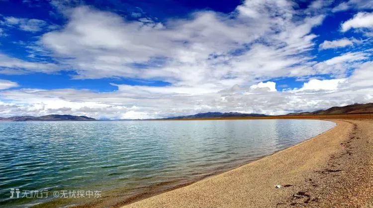 世界杯绝密手稿,世界杯精彩锦囊