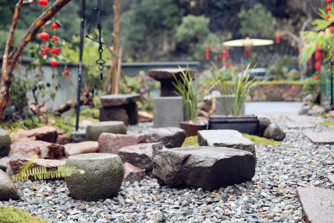 遂昌吃喝玩乐的地方,遂昌千佛山旅游度假