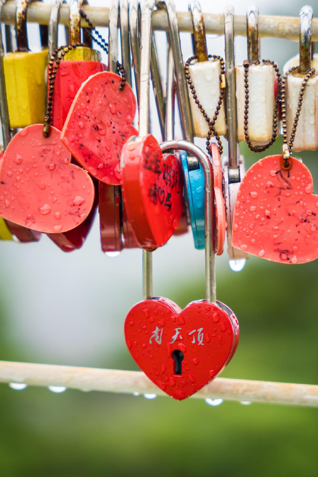 不用爬到山顶也能看到的美景,不用爬风景又好的山