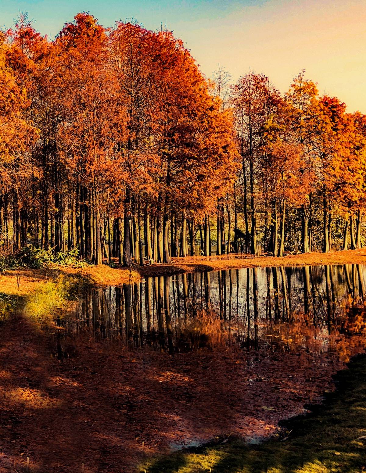 联手国贸地产！园博苑开启生活新篇章