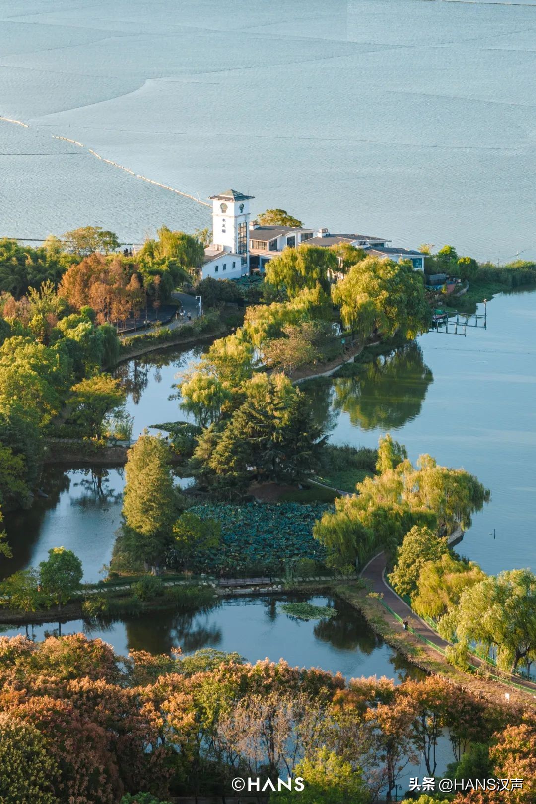 过隐！种花养鱼武汉人