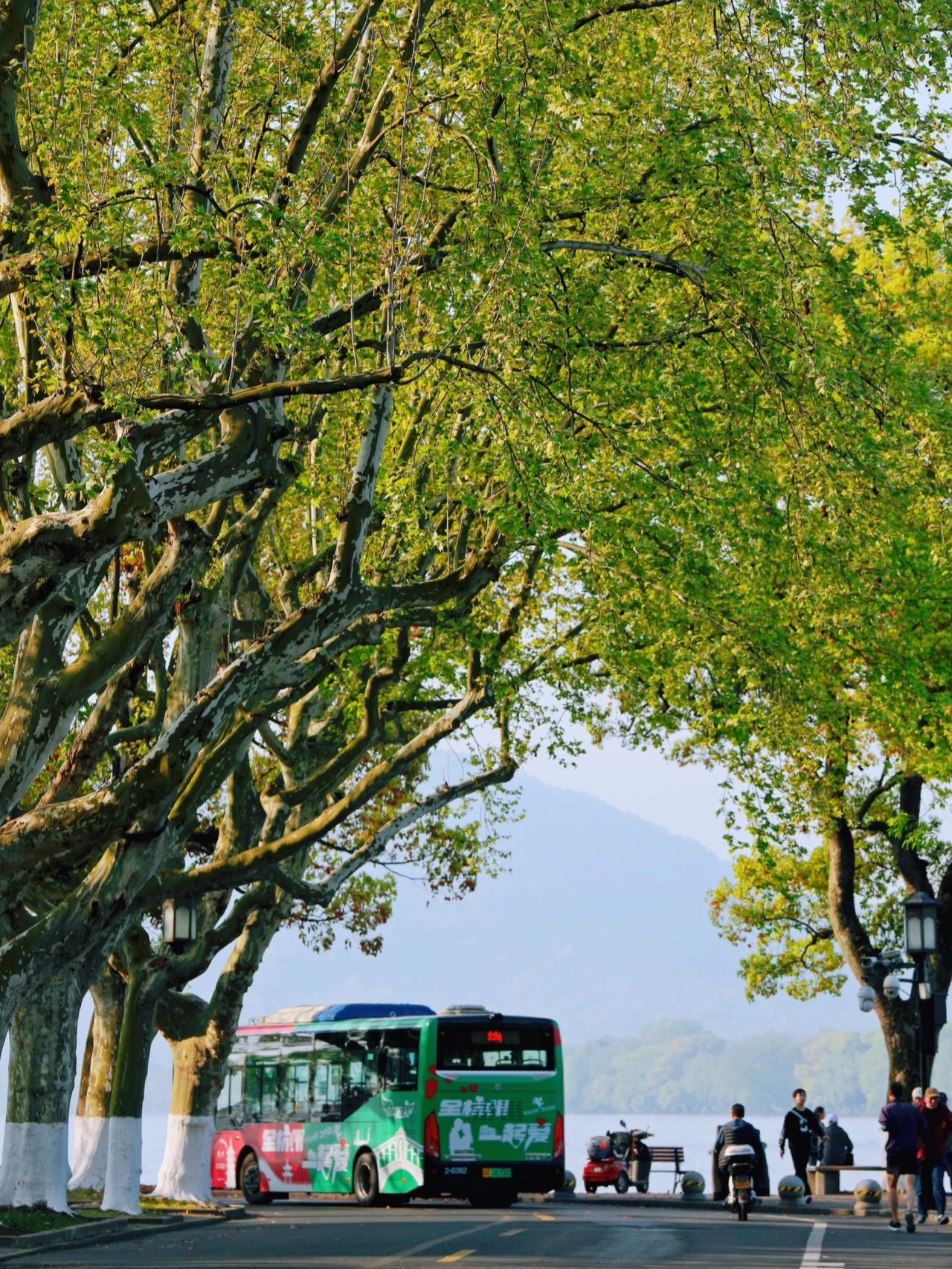 杭州旅游攻略看西湖全景,西湖美景杭州旅游攻略
