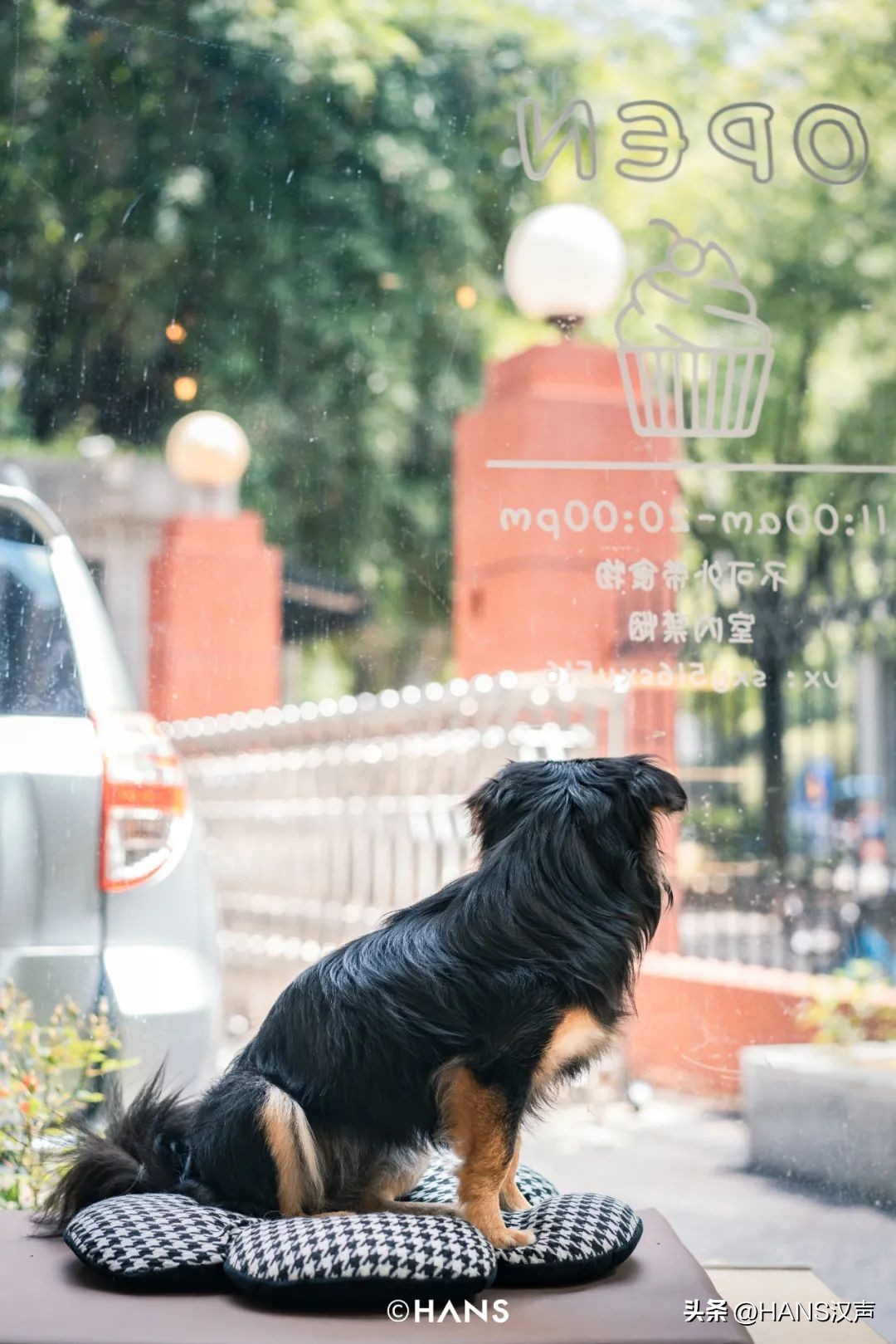 我问了每个人一个问题：你是水果湖毕业的吗？