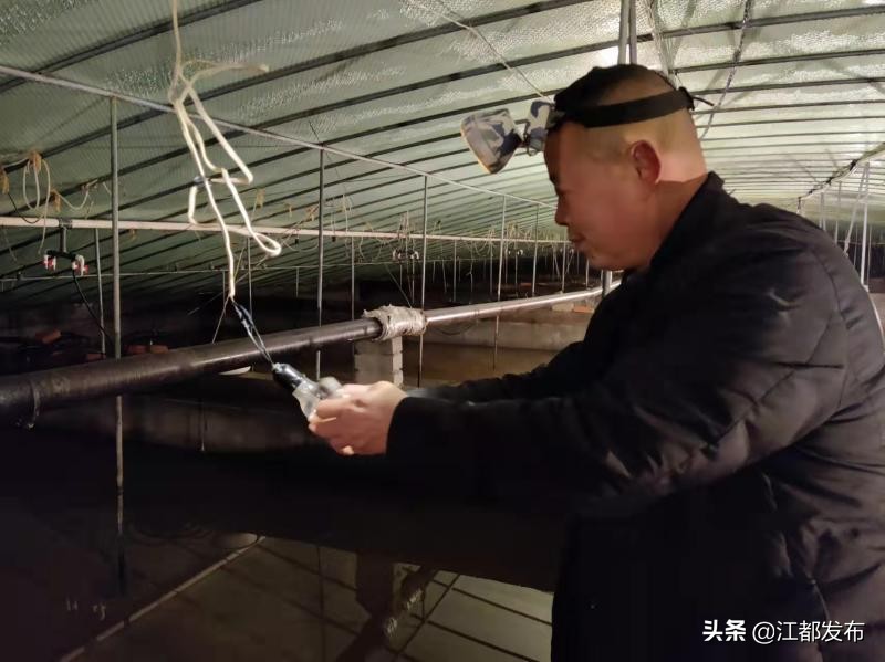 武坚镇温室养殖大户居友宝有本“致富经”——“养甲鱼，要先养水！”