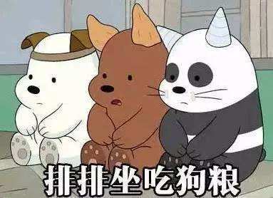 狗狗出现这7个征兆,狗狗救命的七大征兆