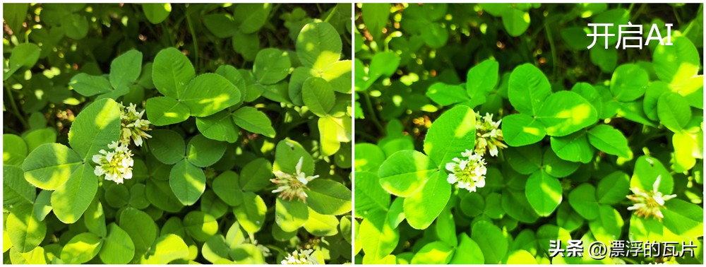 12月红米note12turbo还值得买吗,为什么更推荐红米note12turbo