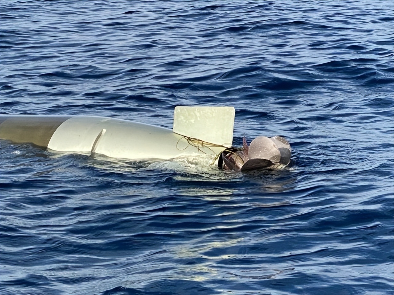 仿制mk-46鱼雷 (mk48鱼雷仿制)