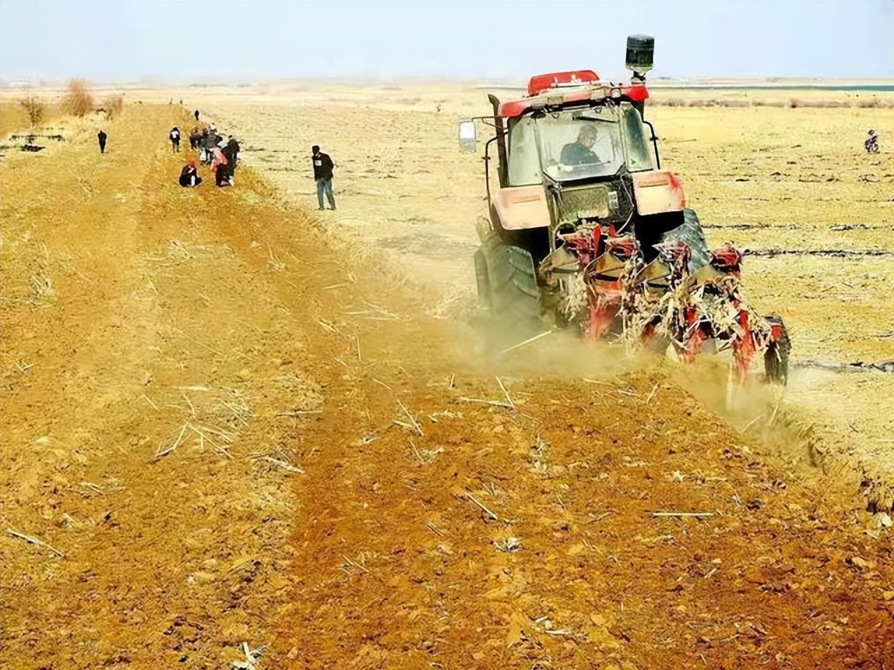 农村土地承包经营权流转现状,农村土地流转现状