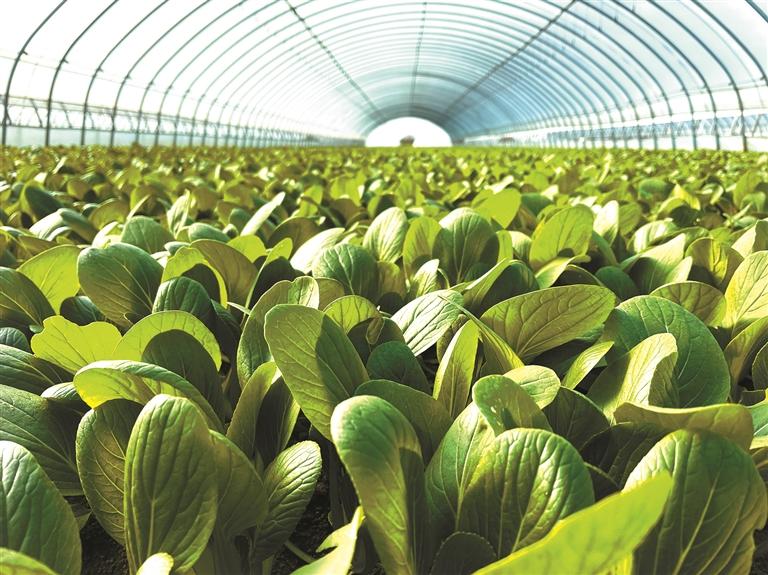 聚力创新实干矢志追赶超越谱写新时代高质量发展新篇章