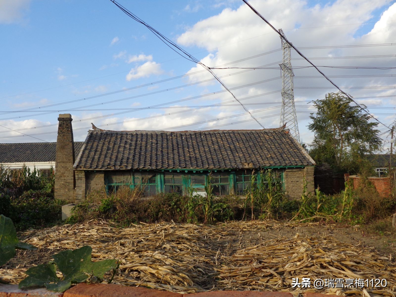 地名档案|旁新线公路沿线村庄之四：沈北新区马刚街道依路村