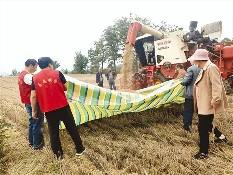郑州发告诫函/郑州地铁12号线年底通车运营/今天河南高考各考点进行模拟演练/郑州交警发出倡议