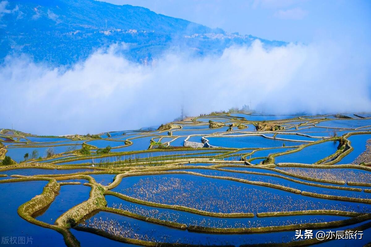 云南西双版纳旅游景点攻略自由行,云南丽江旅游攻略必去景点顺序