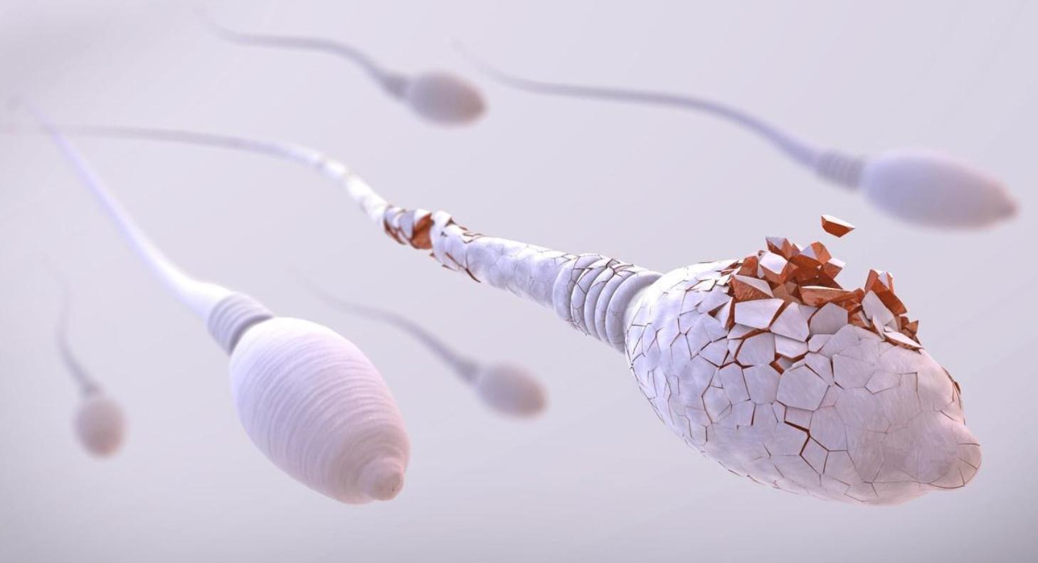 太心酸了：进入女性体内后，精子可能会被“累死”！看完别笑