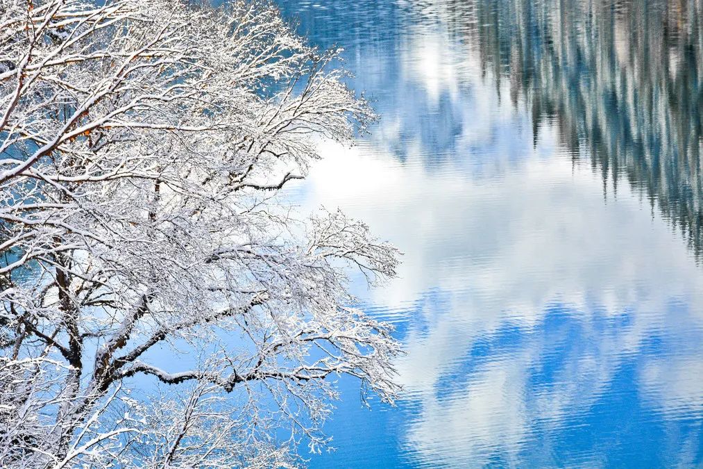 不到3000玩7天！“全网呼声最高”的冬日游天花板，非它莫属！