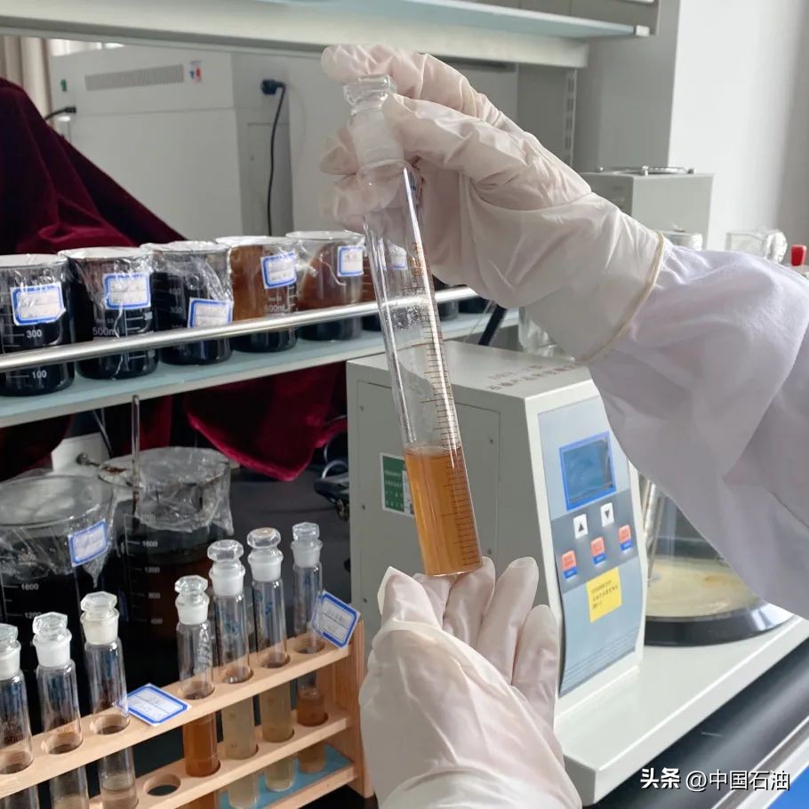 特别策划案例,特别策划系列