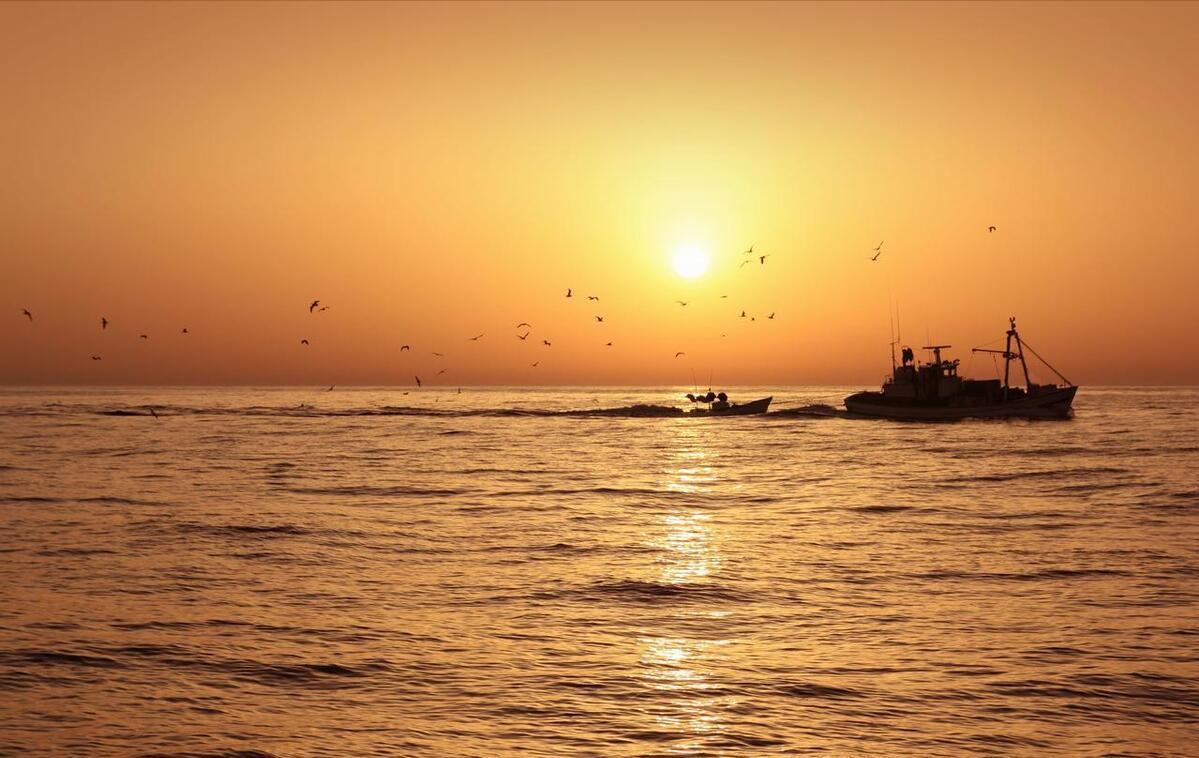 最高法再审改判案件率,最高法复核改判几率