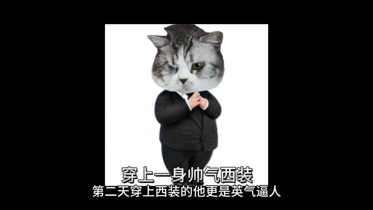 今日话题如何跟一个喜欢的人聊天,同性之间情感共鸣的句子