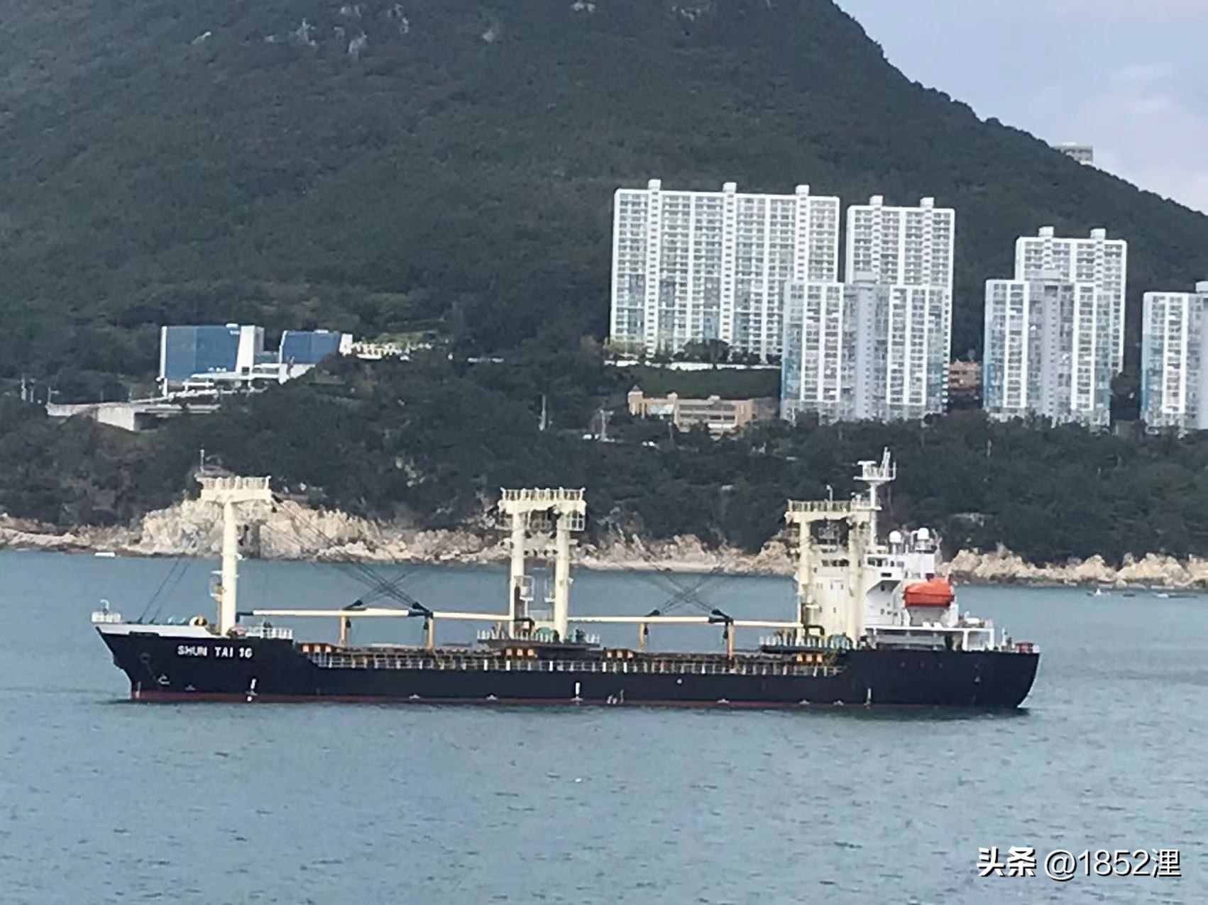 上半身伏下屁股翘高，扒下裤头，一根兽医针咔咔地戳进椎骨里面！