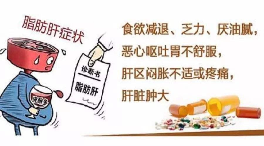 高血脂合并脂肪肝用什么药好,血压高血脂稠脂肪肝需要检查什么