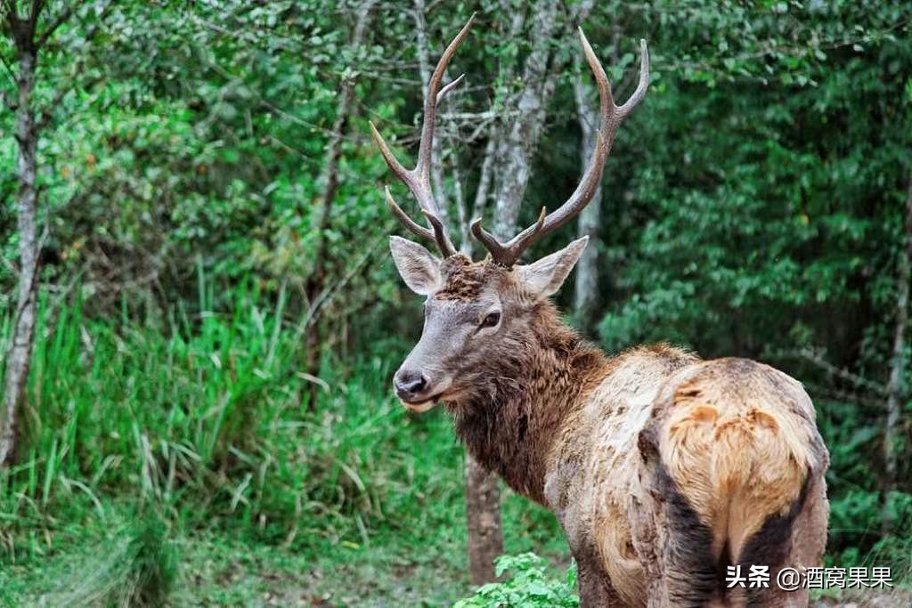 冬天云南适合旅居的地方,云南避寒避暑旅居哪些地方好