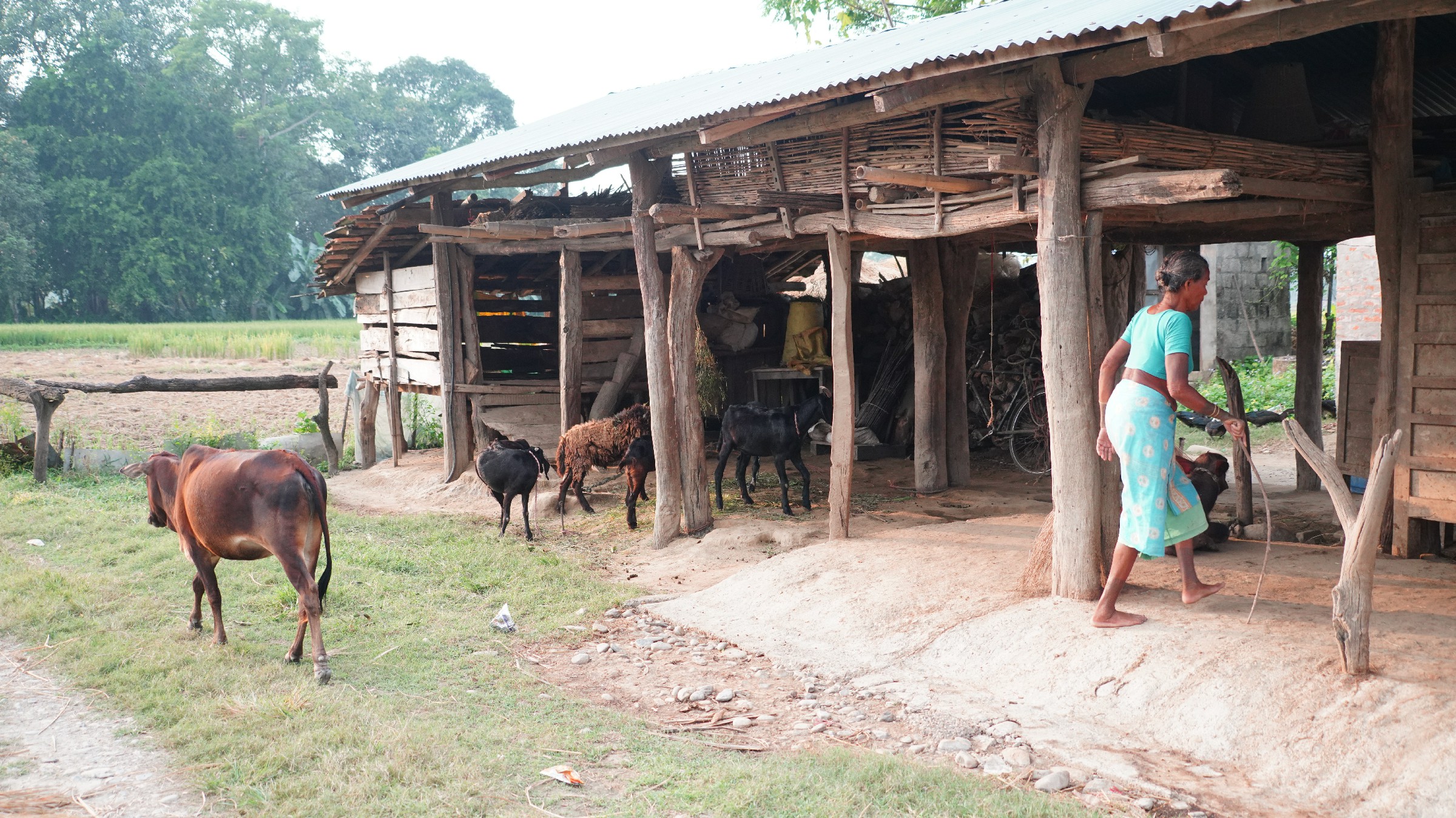 云中鹤游学,云中鹤户外