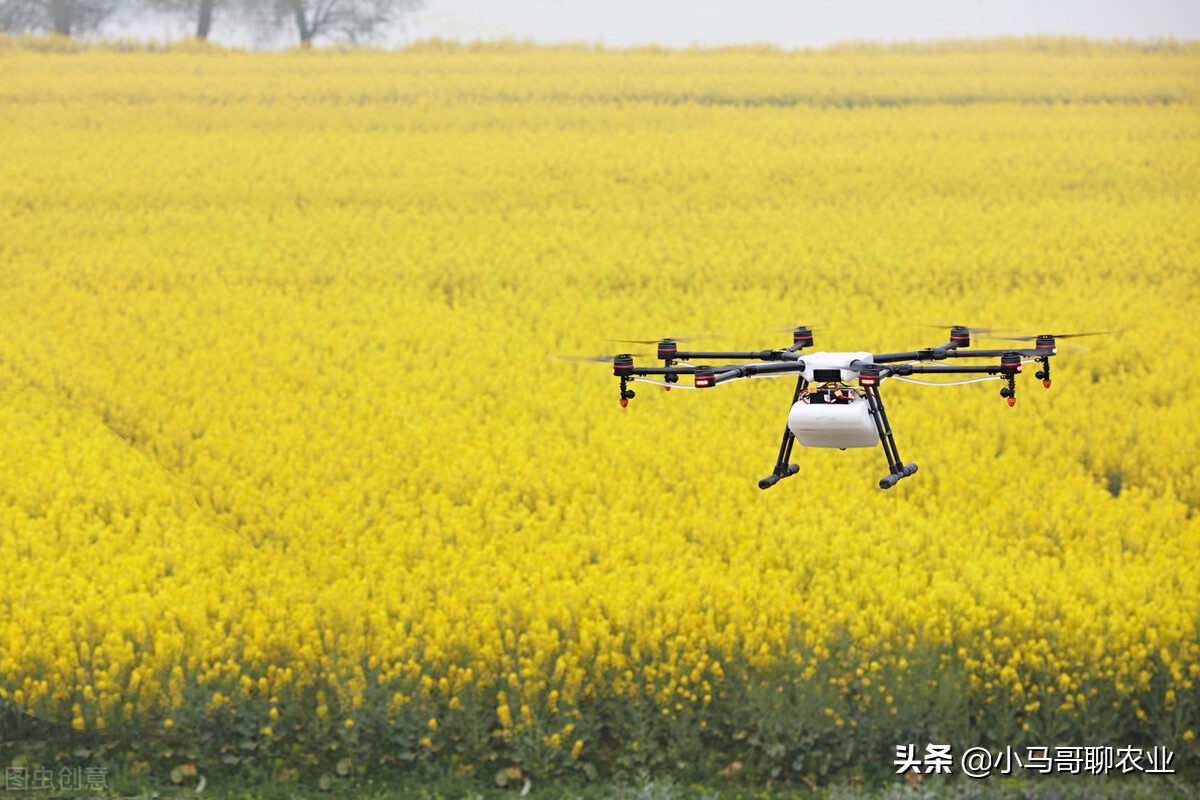 无人机喷药效果好还是人工好,无人机喷药有哪些功能