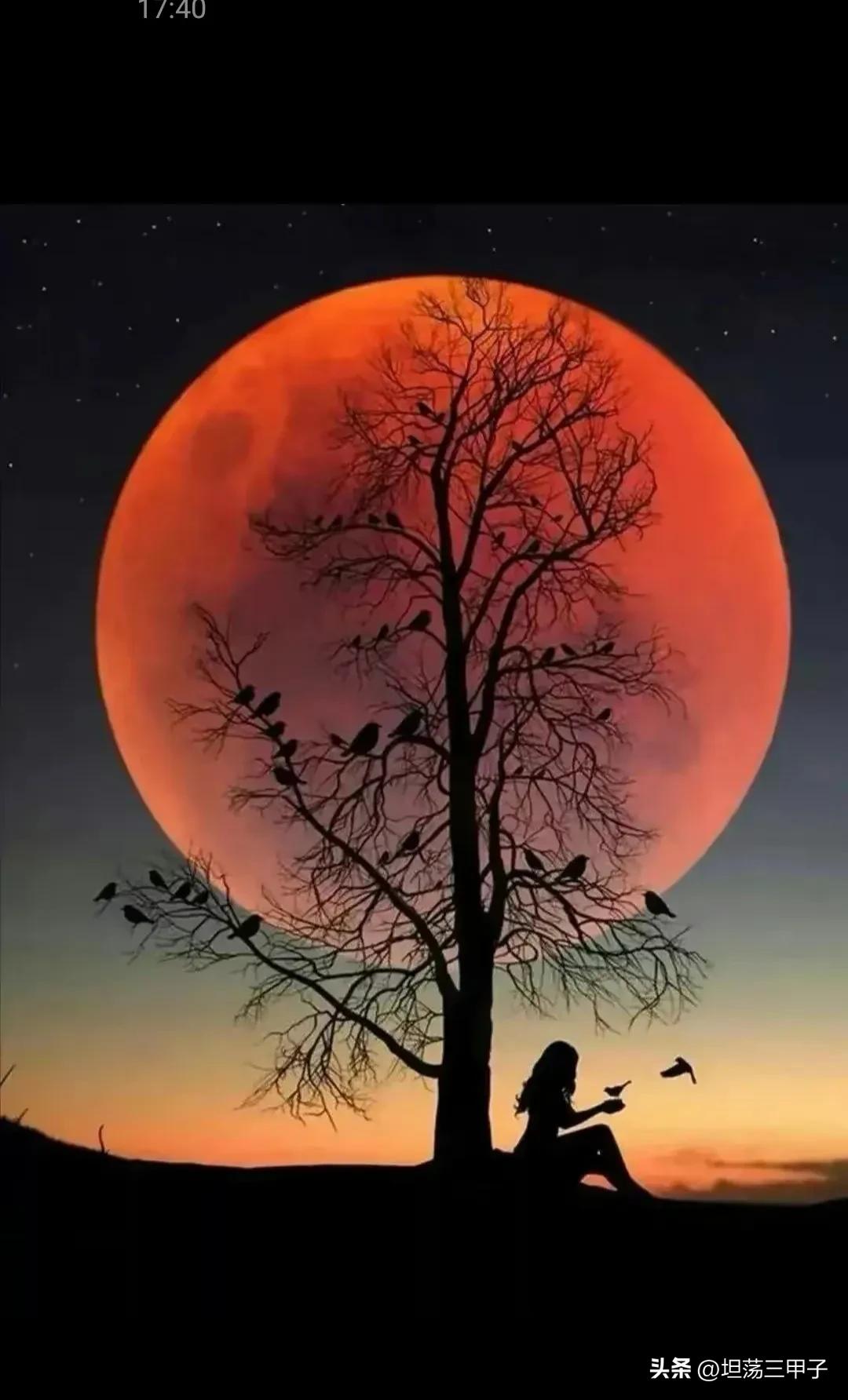 黑夜问白天,黑夜迷你世界