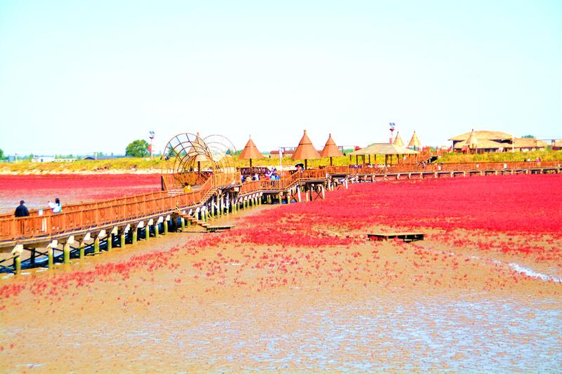 辽宁盘锦在哪个地方,去盘锦旅游哪里好