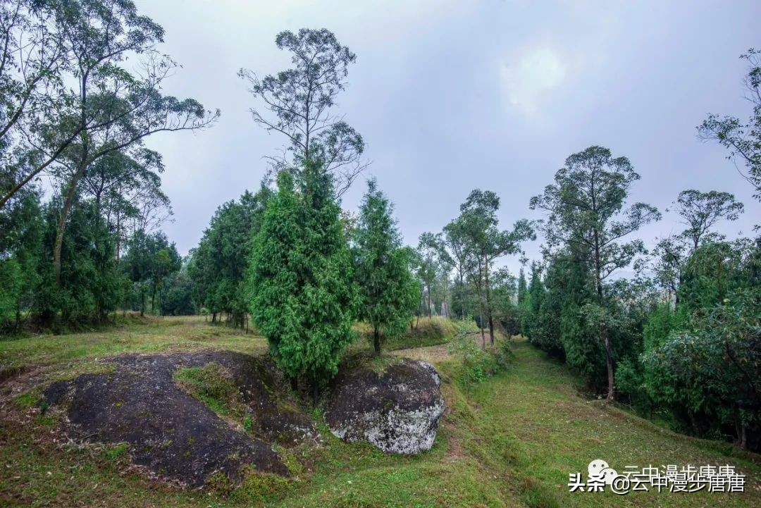 岳池旅游景点大全推荐,行走的美景