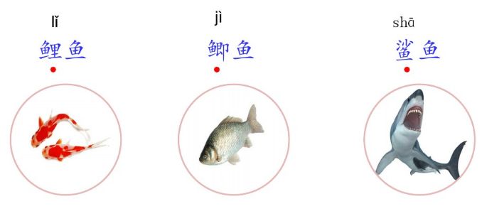 三年级上册语文课后练习题及答案,部编版语文三年级下册课后习题