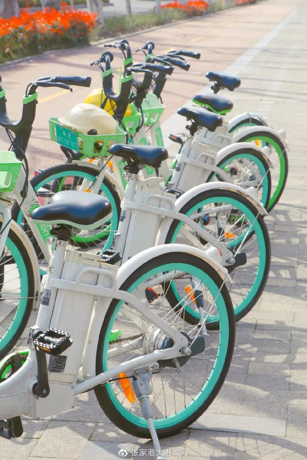 在张家港没钱可以做什么生意,张家港50万能做什么