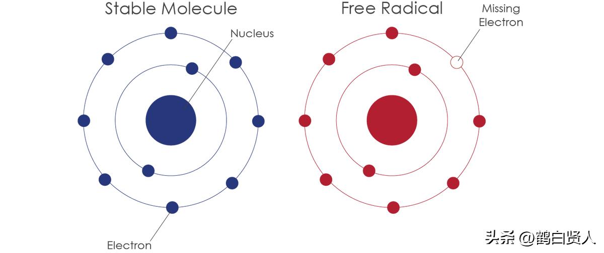 蓝藻的前世今生,蓝藻前世今生
