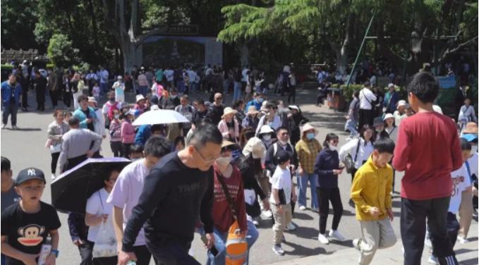 南京为什么那么热还那么多人来玩,南京旅游为什么火了