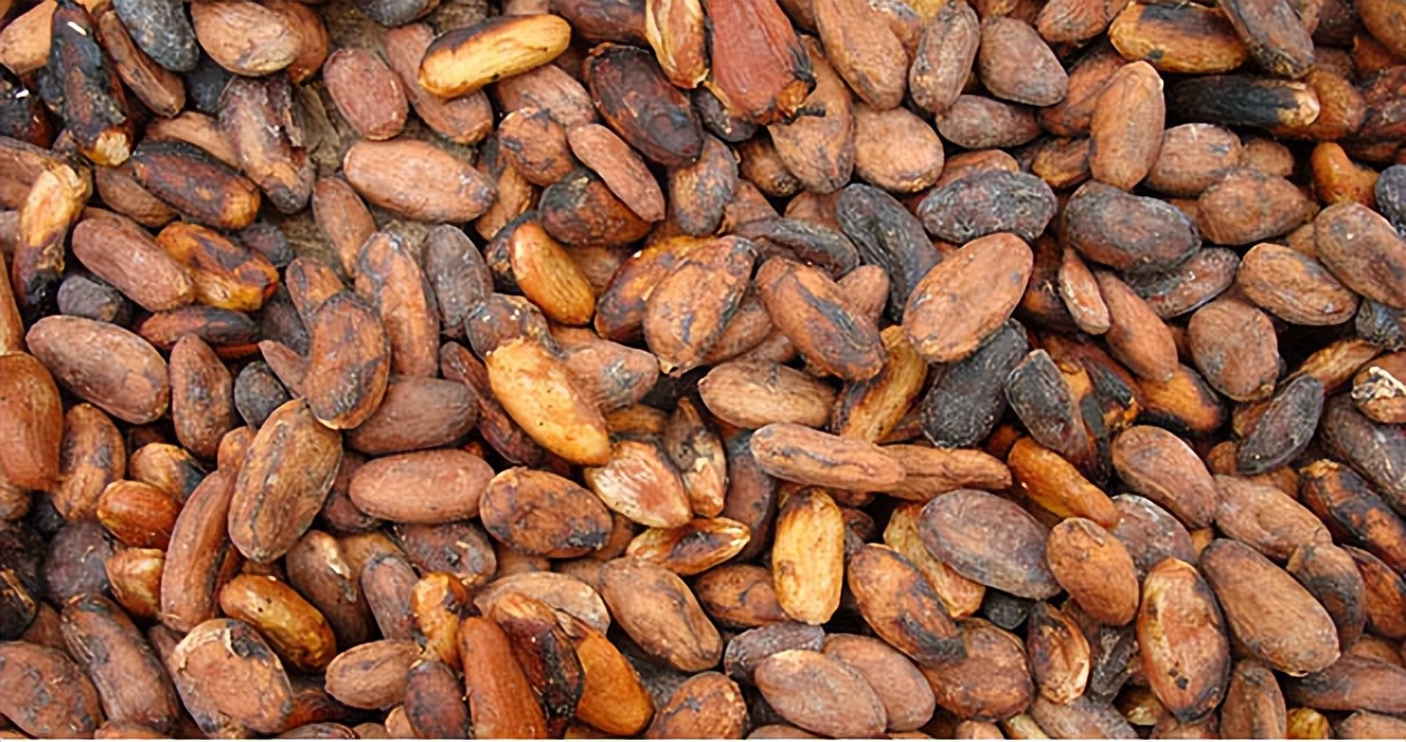 玛雅文明有哪些具体的事例,玛雅文明的真相有多可怕