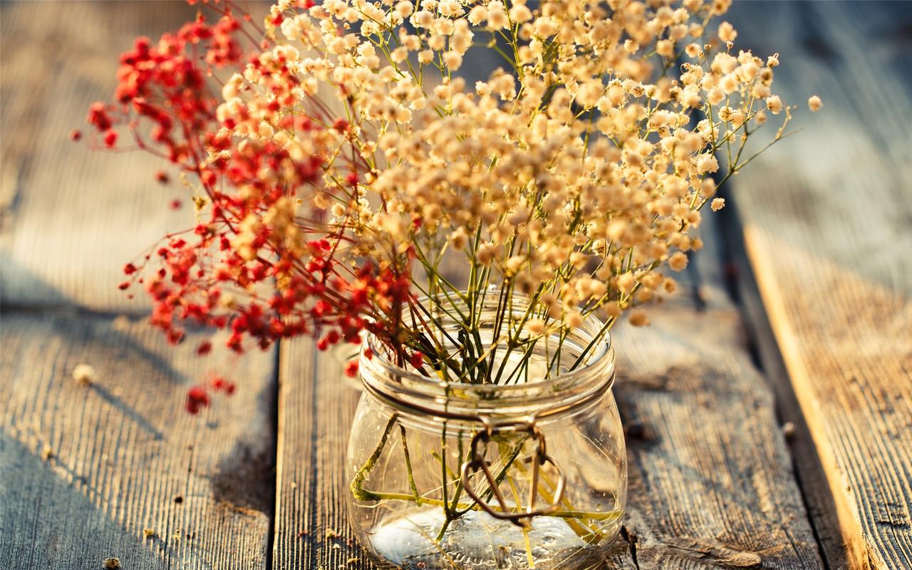 喜欢是放肆而爱是克制英语,喜欢是放肆而爱是克制台词照片